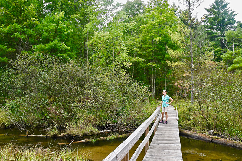 North Country Trail (Newaygo County)